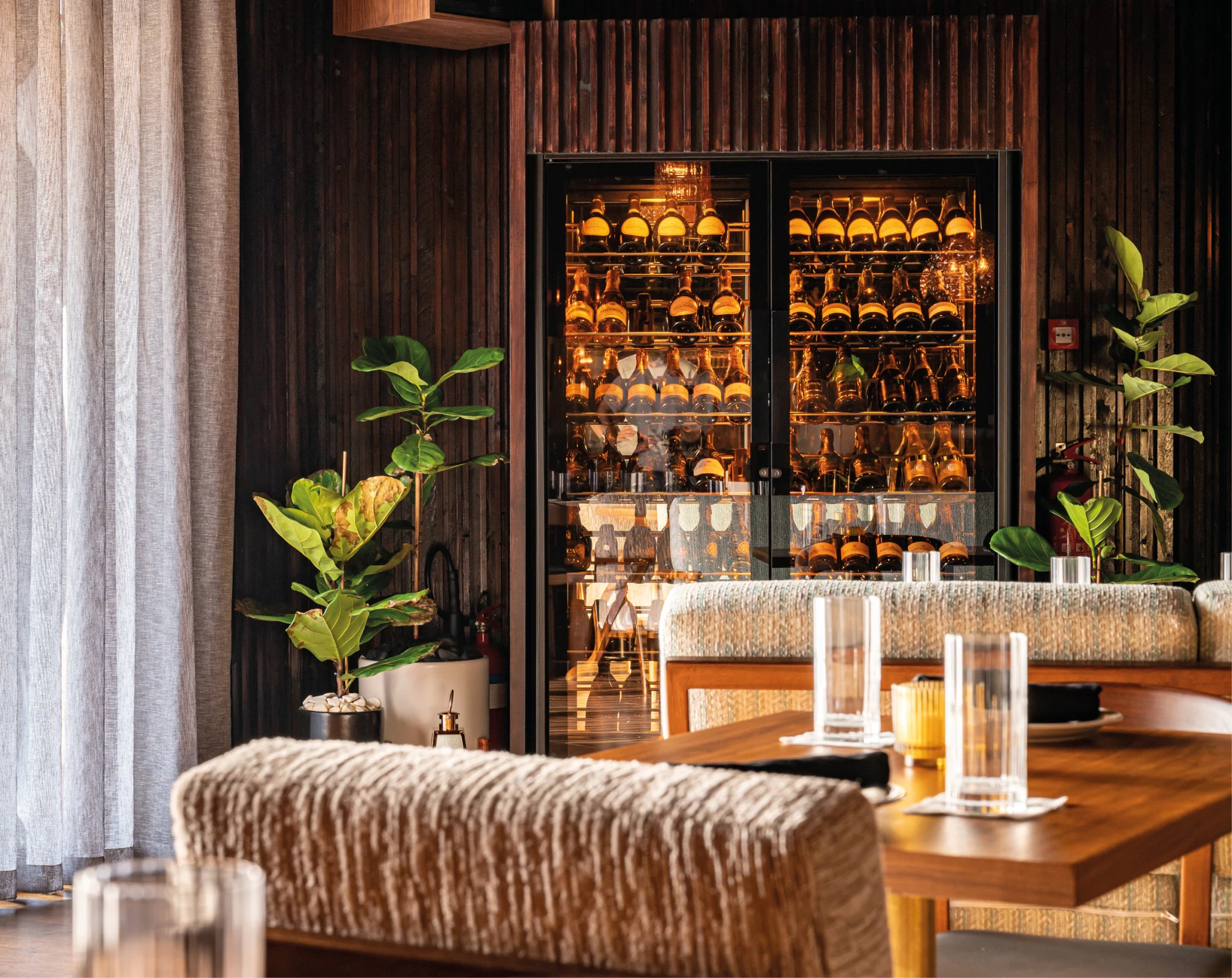 ShowCave Collection - United Arab Emirates